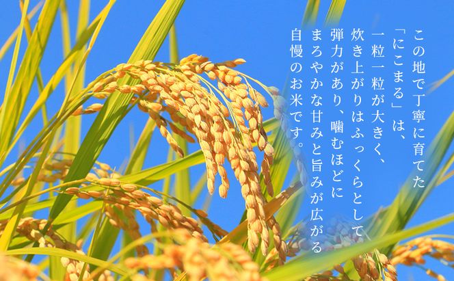 お米 にこまる(特A)  5kg  米 コメ にこまる 精米 白米 ふっくら まろやかな甘み 旨み ふっくら つややか 炊き込みご飯 袋井市 静岡県