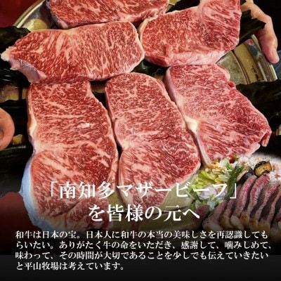 ＜数量限定＞牛肉 サーロインステーキ 170g×4枚 南知多マザービーフ 国産牛 