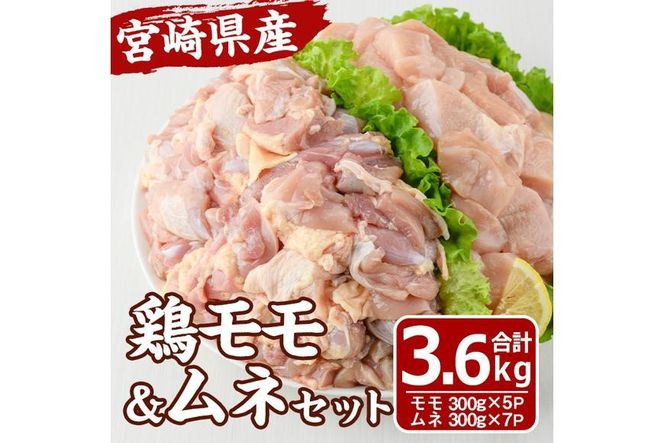 y{茧쒬z{茧Y {  ނ Zbg (v3.6kg) {  Ƃ  ؂g Jbg g 炠 Ⓚ  YyMF-63zyGt@[z