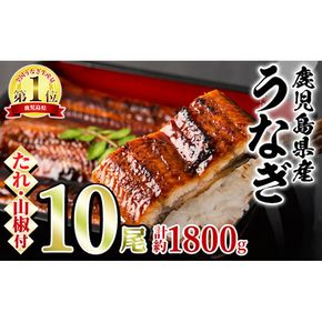 【67038】東串良町のうなぎ蒲焼(無頭)(10尾・計約1,800g・タレ、山椒付)うなぎ 高級 ウナギ 鰻 国産 蒲焼 蒲焼き たれ 鹿児島 ふるさと 人気【アクアおおすみ】