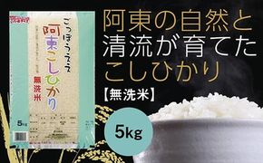 D514 阿東こしひかり（無洗米5kg）