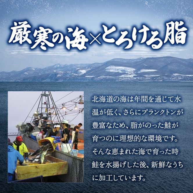 北海道産 時鮭 焼ほぐし身 80g×12瓶 (合計960g) 国産 鮭 ほぐし 鮭フレーク 魚貝類 加工品 ご飯のお供 おかず ご飯に合う おにぎりの具 甘塩仕立て 程よい脂肪分 鮭本来の味 さけ茶漬け チャーハンの具 