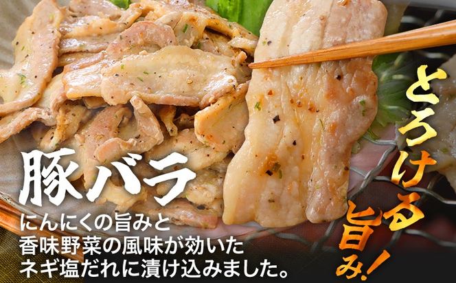 牛豚味付け焼肉セット 2.4kg 牛ハラミ 牛バラ 豚バラ 味付き 小分け 保存 醤油 にんにく タレ 子供 生姜 香味野菜 ネギ塩 キャンプ バーベキュー 福岡県 福岡 九州 グルメ お取り寄せ