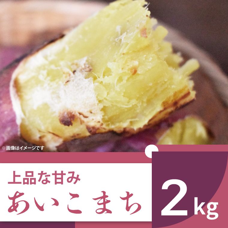 [2025年11月より順次発送]2025年度産 上品な甘みのさつまいも あいこまち 約2kg|さつまいも サツマイモ さつま芋 芋 お芋 あいこまち 先行予約 渋谷農園 人気 送料無料 茨城県 行方市(BZ-53)
