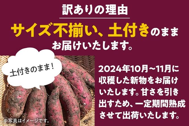 訳あり 熟成 シルクスイート 5kg さつまいも 芋 サツマイモ 土付き サイズ色々 サイズ不揃い 九州産 焼き芋 やきいも 甘い デザート スイートポテト 生芋 おやつ デザート 野菜 いも 【2024年12月以降順次発送】