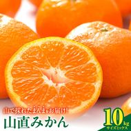 みかん 山から直送 箱込 10kg ( 内容量 9.2kg ) 鮮度優先ごろごろ規格 和歌山県産 産地直送 家庭用 【みかんの会】_MK1039
