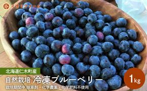 北海道仁木町産 冷凍ブルーベリー1kg 栽培期間中 除草剤・化学農薬・化学肥料不使用【日付指定不可】果物 くだもの フルーツ 冷凍 [iori farm]
