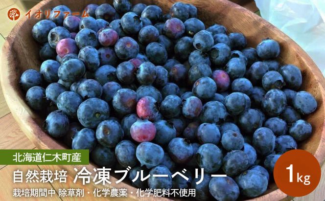 北海道仁木町産 冷凍ブルーベリー1kg 栽培期間中 除草剤・化学農薬・化学肥料不使用【日付指定不可】果物 くだもの フルーツ 冷凍 [iori farm]