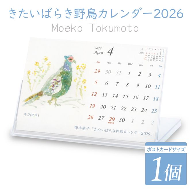 【数量限定】【徳本萌子】きたいばらき 野鳥カレンダー（2026年4月はじまり）【ポストカード 卓上 絵 水彩画 風景画  渡り鳥 自然 インテリア 北茨城市 茨城県】(DK001)