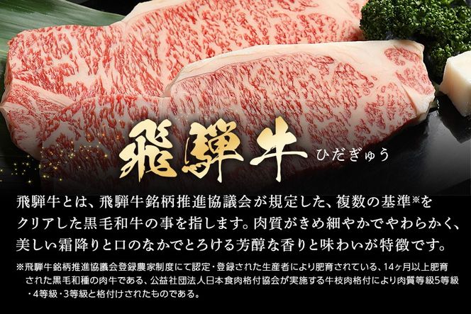 飛騨牛 A5等級「飛騨牛食べ比べセット 豪華14品目」冷蔵配送・焼肉・しゃぶしゃぶ・すき焼き 44