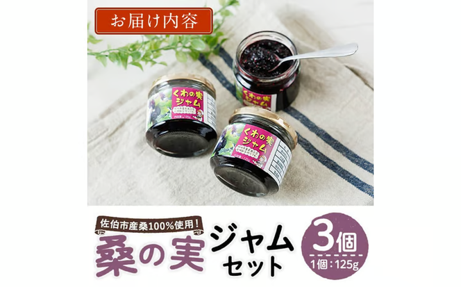 桑の実ジャム(3個) フルーツ 果物 ジャム セット マルベリー 大分県産 特産品 大分県 佐伯市 国産 朝食 桑の実 瓶詰 防災 常温 常温保存【BN01】【番匠商工会女性部直川支部】