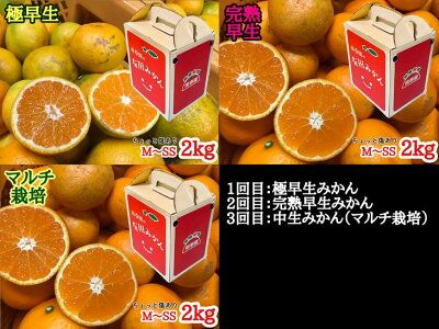 【定期便】【ちょっと傷あり 約2kg×3回コース】有田みかん・食べくらべ3種【南泰園】 ※着日指定不可_ZF6301n