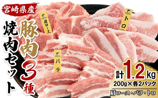 【希少部位・豚トロ入り！】宮崎県産 豚肉 焼肉バラエティセット 合計1.2kg 真空パック 200gずつの便利な小分け 食べ比べ
