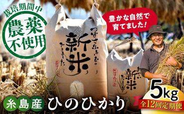 【全12回定期便】 糸島産 雷山のふもとの米 農薬不使用 5kg 糸島市 / ツバサファーム[ANI005]