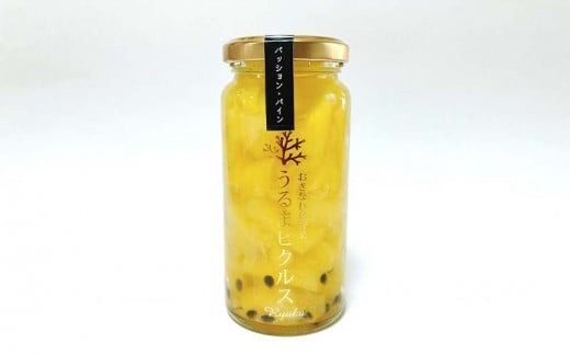【龍華】うるまピクルス　3本セット