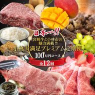 【定期便・全12回】日本一宮崎牛と小林市の魅力満載!!!!!小林大満足プレミアム定期便 100万円コース（国産 牛肉 国産牛 和牛 黒毛和牛 シャインマスカット マンゴー 完熟マンゴー フルーツ 果実 くだもの キャビア 豚肉 鶏肉 定期便）