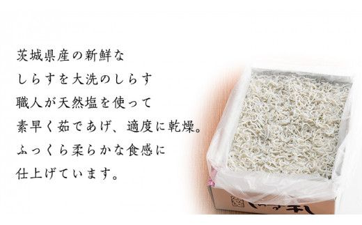 茨城県産 しらす干し 1kg ( 共通返礼品：茨城県 大洗町 ) シラス干し しらす シラス 業務用 冷凍 魚介 海鮮 しらす丼 離乳食 箱 [DD001us]