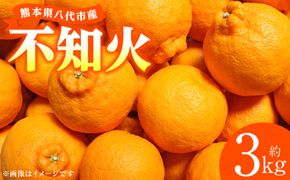 【先行予約】 不知火 約3kg しらぬい 柑橘 果物 くだもの フルーツ おやつ デザート ハウス栽培 熊本県 八代市 【2027年1月中旬より順次発送】