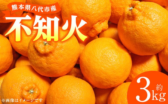 【先行予約】 不知火 約3kg しらぬい 柑橘 果物 くだもの フルーツ おやつ デザート ハウス栽培 熊本県 八代市 【2027年1月中旬より順次発送】