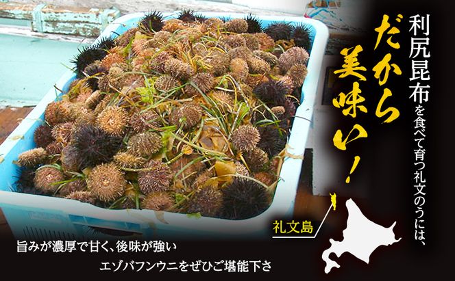 北海道 礼文島産 採れたて ミョウバン不使用 エゾバフンウニ 塩水パック180g×1個［船泊漁業協同組合］【 うに ウニ 雲丹 生うに 塩水うに バフンウニ 滅菌海水 海鮮 うに丼 濃厚 甘み 】