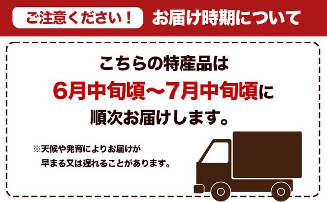 幸せの「タカミメロン」3玉～4玉（約2kg以上） フルーツ 果物 
