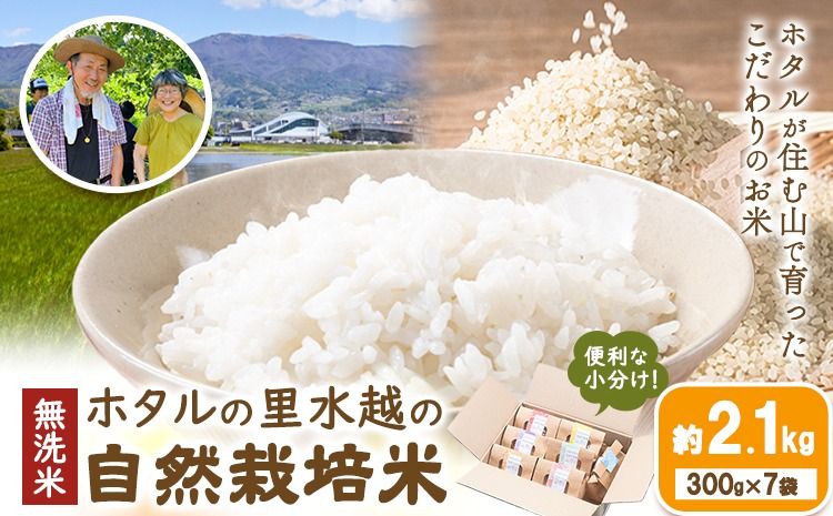 無洗米 ホタルの里水越の自然栽培米 約2.1kg 300g×7袋 合同会社点天[30日以内に発送予定(土日祝除く)]洗わなくてOK 米 コメ 小分け 便利 熊本県産---mf_tnmsn6nen_24_30d_10000_2100g---