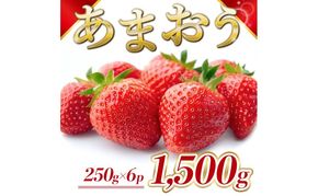 苺 福岡県産 あまおう 1500g（6パック） 先行予約 発送予定：2027年1月より順次発送 いちご イチゴ 果物 ※配送不可:離島