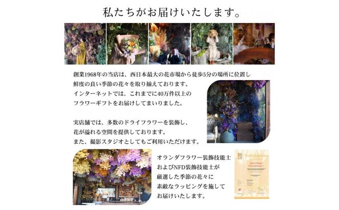 【母の日】プレミアムドライフラワー・ブーケ　フルラージュ＜お届け日：2026年5/4～5/10 当店おまかせ ＞母の日カード付き【 母の日 ギフト アレンジ 花 贈り物 大阪府 門真市 】 272230_BG131