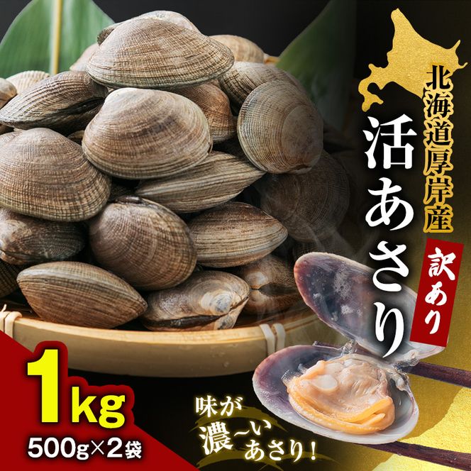 あさり 訳あり 北海道 厚岸産 砂出し済み 活あさり 500g×2 (合計1kg) 【厚岸海産】[ アサリ 魚貝 海鮮 大粒 美味しい 栄養 旨み 砂出し 水洗い 冷蔵 便利 ] 