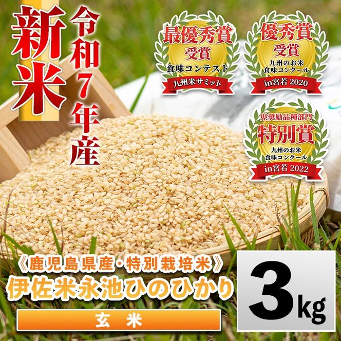 isa535 令和7年産 特別栽培米 永池ひのひかり玄米(3kg) 鹿児島 永池 お米 米 玄米 伊佐米 九州米サミット 食味コンテスト 最優秀賞受賞 ヒノヒカリ 【エコファーム永池】