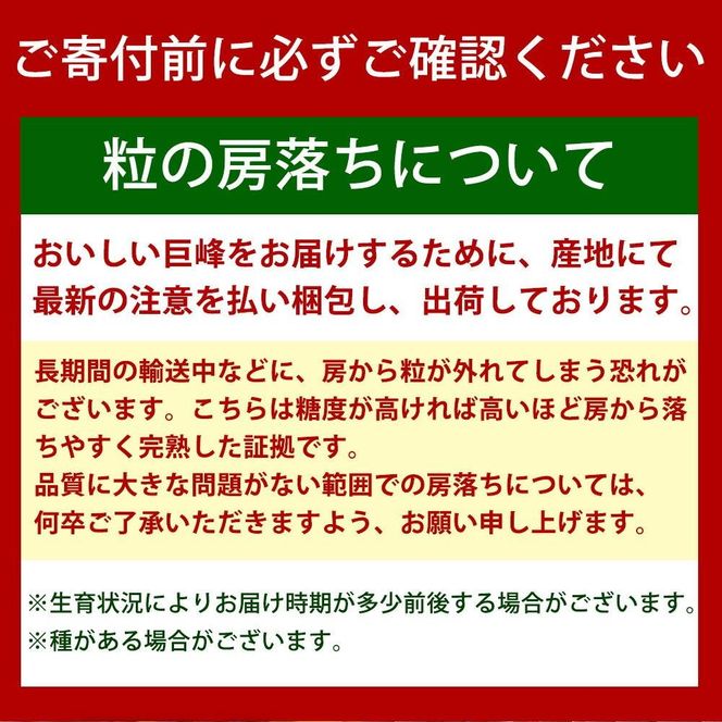 紀州有田産の種なし巨峰ぶどう約２kg【先行予約】【2025年8月下旬以降発送予定】 AN026