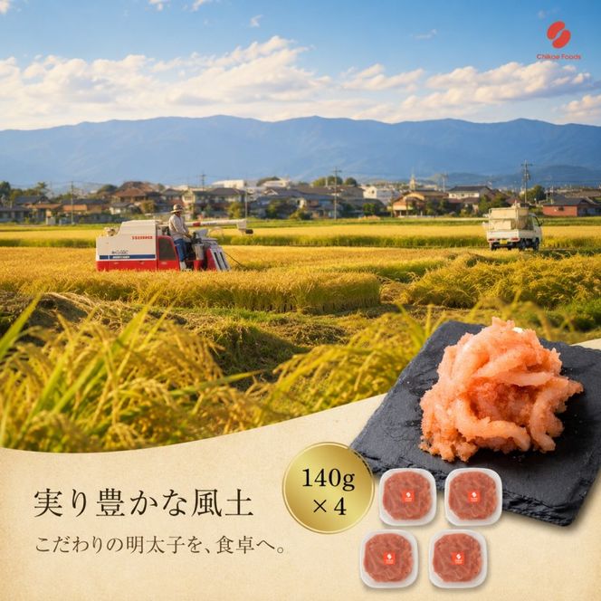 いか明太 140g×4 明太子 めんたいこ 加工品