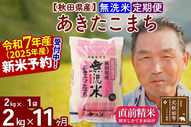 令和7年産《定期便11ヶ月》秋田県産 あきたこまち 2kg【無洗米】(2kg小分け袋) 2025年産 お届け時期選べる お届け周期調整可能 隔月に調整OK お米 おおもり [おおもり 秋田 お米 あきたこまち 米どころ 東北 北秋田市 定期便 毎月お届け]|oomr-30111