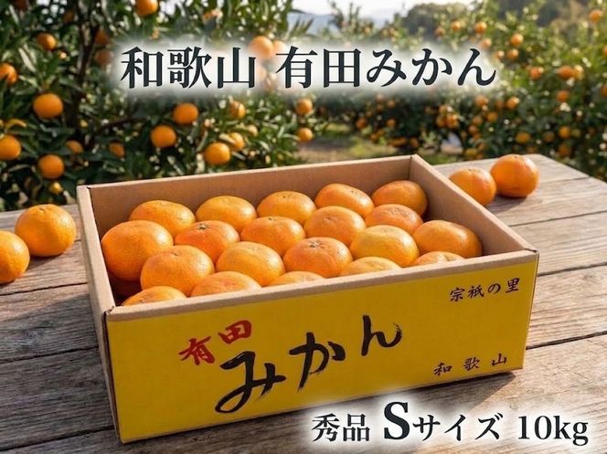 ［秀品・サイズＳ］和歌山有田産！早生みかん≪10kg≫［予約販売］［数量限定］まる隆果樹園	CS024