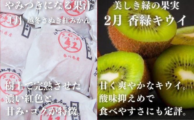 【12回フルーツ定期便】 絶品フルーツの定期便 -旬の果実便り- 12ヶ月 讃州丸亀 定期便 フルーツ セット 詰め合わせ 小原紅早生みかん いちご キウイ はっさく デコポン びわ 桃 シャインマスカット みかん ゴールドキウイ さぬきひめ 旬の果物 くだもの 12回 1年 お楽しみ 香川県 丸亀市