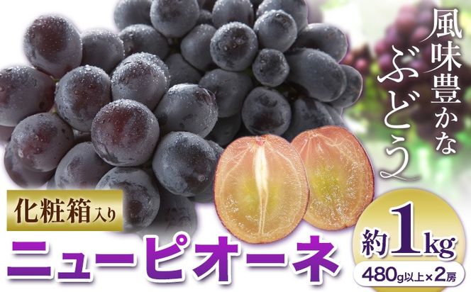 yR}szy2026Ns\zj[sI[l 1[480gȏ 1kg 2[ ϔ ЎRs2026N8{-10{oׁtR }s Ԃǂ t[c Mtg p { ʕ Y RY  yzsn悠z---Y-26---