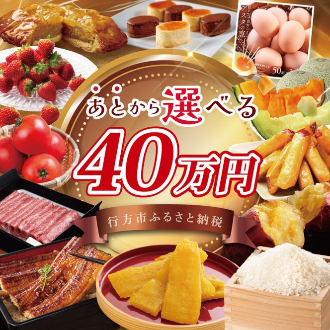 ★あとから選べる★茨城県行方市ふるさとギフト 寄附額：40万円分｜あとから選べる 後から選べる 選べる ギフト 肉 お肉 米 お米 コシヒカリ ミルキークイーン さつまいも サツマイモ 芋 お芋 うなぎ 干し芋 紅はるか スイーツ カタログ 40万円 茨城県 行方市 人気(CU-339)