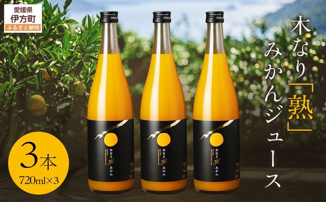 木なり「熟」みかんジュース（720ml×3本） IKTE011