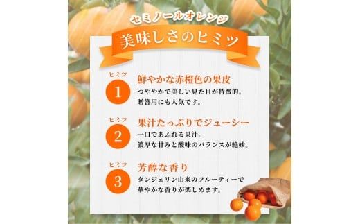 【ご家庭用】手選別 セミノールオレンジ 約6kg 和歌山県産 2S~2Lサイズ混合※2026年4月中旬～5月中旬頃に順次発送【mrmt036】