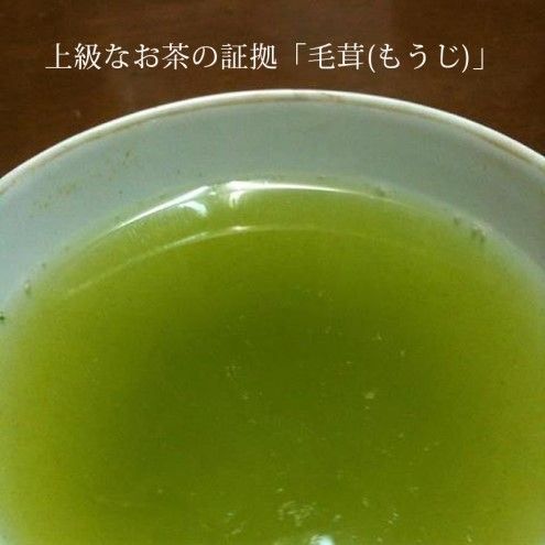 お茶 玉露 50g×2袋 奥八女 星野村 伝統 本玉露 八女茶 星野茶 茶 緑茶 