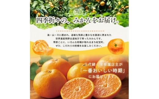 みかん 【全4回】 柑橘 定期便 石本果樹園 旬の柑橘を春夏秋冬でお届け！ / フルーツ 果物 くだもの 柑橘 フルーツ定期便 くだもの定期便 定期便 みかん ミカン 温州みかん せとか カラマンダリン ジュース 産地直送 旬 人気 おすすめ 三重県 紀宝町 【tkb508】