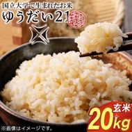 TVでも話題のお米 ゆうだい21 ＼令和8年産／【数量限定】あい　farm　やなぎのお米　令和8年産 ゆうだい21 玄米 20kg | 栃木県 益子町 ふるさと納税 お米 米 20kg 玄米 (DQ008-2)