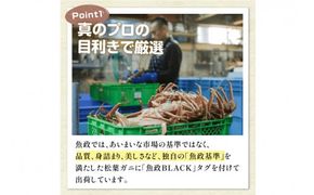 訳あり　【蟹の匠 魚政】茹で　プレミアムズワイガニ 魚政BLACK（松葉ガニ・越前ガニ） 大サイズ（1000～1100g） 1匹 (1月～3月発送） 松葉蟹 蟹 かに カニ ガニ がに ボイル まるごと 海産物 海鮮 魚介 魚介類 甲殻類 海の幸 京都 京丹後 京丹後市 ふるさと納税 蟹 送料無料　UO01315
