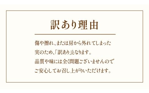 【 訳あり 】 我が道 3kg 【2026年9月発送開始】(茨城県共通返礼品：大子町) シャインマスカット ウインク 葡萄 ブドウ ぶどう 果物 フルーツ 希少 新品種　 わけあり ワケあり ご自宅用 ご家庭用 自分用