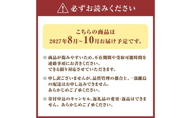 【2027年発送 先行受付】【寄附額改定!】プレミアムいちじく とよみつひめ　1.2kg【JAほたるの里】_AS0278-00