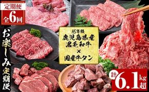 【定期便・全6回】＜A5等級＞鹿児島県産黒毛和牛＆国産牛タンのお楽しみ牛肉定期便＜計6.1kg超＞ t0135-001