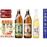 a475 《数量限定！ミニ焼酎ランダム2本付き》本格焼酎飲み比べ！白金酒造の定番芋焼酎白金乃露・白金乃露黒(各900ml)と白金酒造のいも焼酎で作った菜の花梅酒(500ml)【白金酒造】