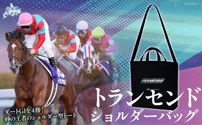 【トランセンド】ショルダーバッグ BRTV152