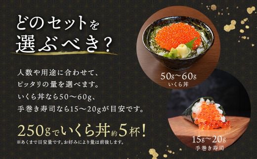 北海道産 いくら醤油漬け 250g×1箱 小分け ｜ 国産 しょう油 イクラ ikura 鮭 鮭卵 鮭いくら 魚卵 冷凍  すぐ届く 魚介類 海鮮 絶品 人気 笹谷商店 せんのすけ すぐ発送 3万 2026年 年始発送 北海道 釧路町 釧路超 特産品　121-1920-431-305