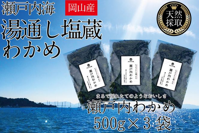 湯通し塩蔵 瀬戸内 わかめ 500g×3袋【岡山 瀬戸内海 天然 塩蔵】 無添加 無着色 健康 味噌汁 炊き込み サラダ 